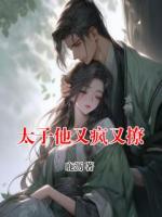 太子他又疯又撩