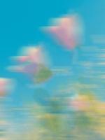 女管家装傻害死婆婆后，老公气疯了