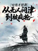 穷秀才逆袭：从无人问津到被疯抢