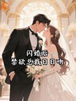 闪婚后，禁欲总裁日日吻
