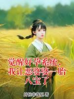 觉醒好孕系统，我让恶婆婆一胎八宝了
