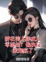 娇花美人穿成八零恶妇？偏执反派宠疯了