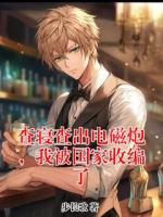 查寝查出电磁炮,我被国家收编了