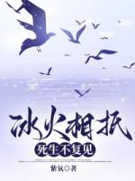 冰火相抵，死生不复见