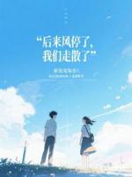 后来风停了，我们走散了