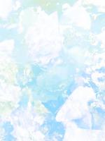 重生后我揍暴圣父