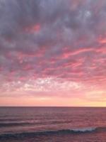 亲妈为养妹买三万护肤品，我辞职断家用