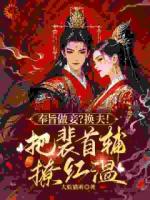 不当妾室后，她改嫁首辅当主母