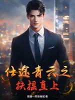 仕途青云之扶摇直上