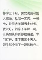 他送我去美国那天，沈家三个哥哥的私人飞机落在了楼下