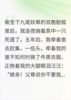 偷生狐崽后，我被妖尊追妻火葬场