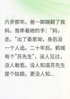 鹤城苏先生