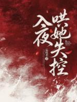 入夜，哄她失控txt全本免费阅读 叶辞陆沉舟结局