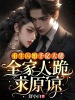 重生闪婚千亿大佬，全家人跪求原谅舒夏林起txt阅读无广告无弹窗免费版