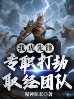 我,虎先锋,专职打劫取经团队