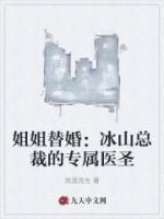 姐姐替婚:冰山总裁的专属医圣