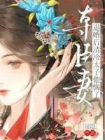 夺臣妻,退婚后清冷太子他悔了