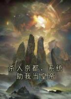 杀入京都，系统助我当皇帝