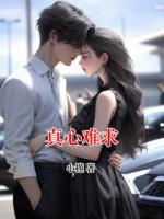 真心难求