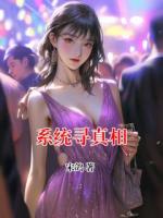 系统寻真相