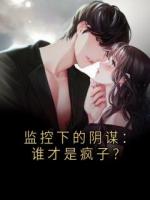监控下的阴谋：谁才是疯子？