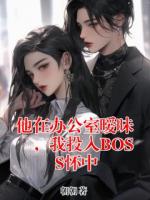 他在办公室暧昧，我投入BOSS怀中