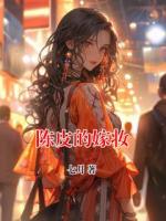 陈皮的嫁妆