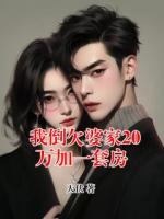 我倒欠婆家20万加一套房