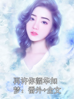 再许你韶华如梦：番外+全文