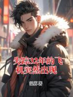 失踪32年的飞机突然出现