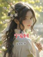 宁安回