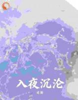 入夜沉沦