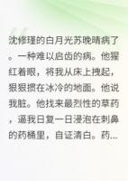 白月光死后，他喝我洗脚水