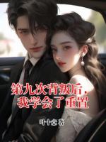 第九次背叛后,我学会了重置