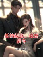 纸鹤藏意,遗憾满冬