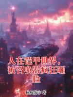 人在铠甲世界,被召唤器疯狂砸脸