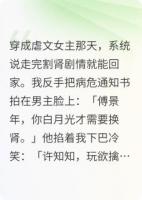 穿书后我攀上京市大佬