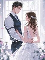 我花0.52租了男友的私人飞机后,被全网黑