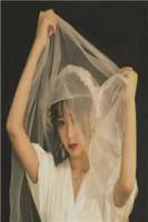 重生曹昂:开局截胡典韦