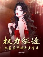 权力征途:从基层开始平步青云