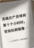 夫人离开后，陆总他疯了