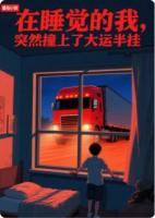 在睡觉的我,突然撞上了大运半挂