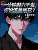 一分钟射六千发,你说这是烟花?