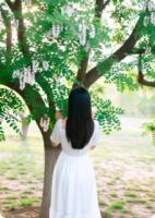 槐花巷口的白裙子