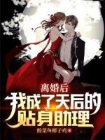 离婚后,我成了天后的贴身助理