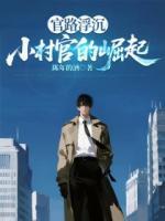 官路浮沉：小村官的崛起