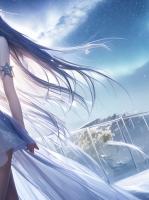 我家没有洋媳妇