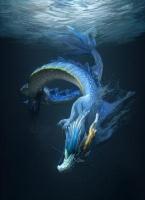 宅怨·背后的影子