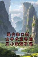 缝合伤口前,全手术室等通灵小助理祈福