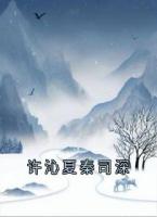 许沁夏秦司深